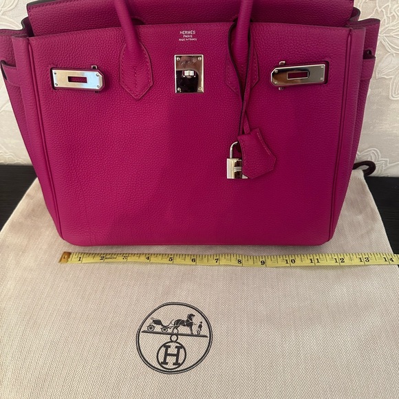 Hermes Birkin 30CM Magnolia Togo Leather with Palladium Hardware - Picture 11 of 16